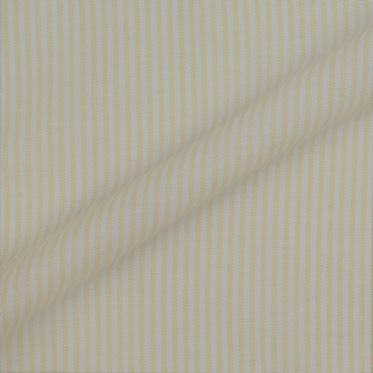 Oxford Rayé Jaune Blanc