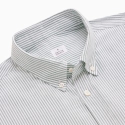 Chemise homme Oxford Rayé Vert sapin et Blanc