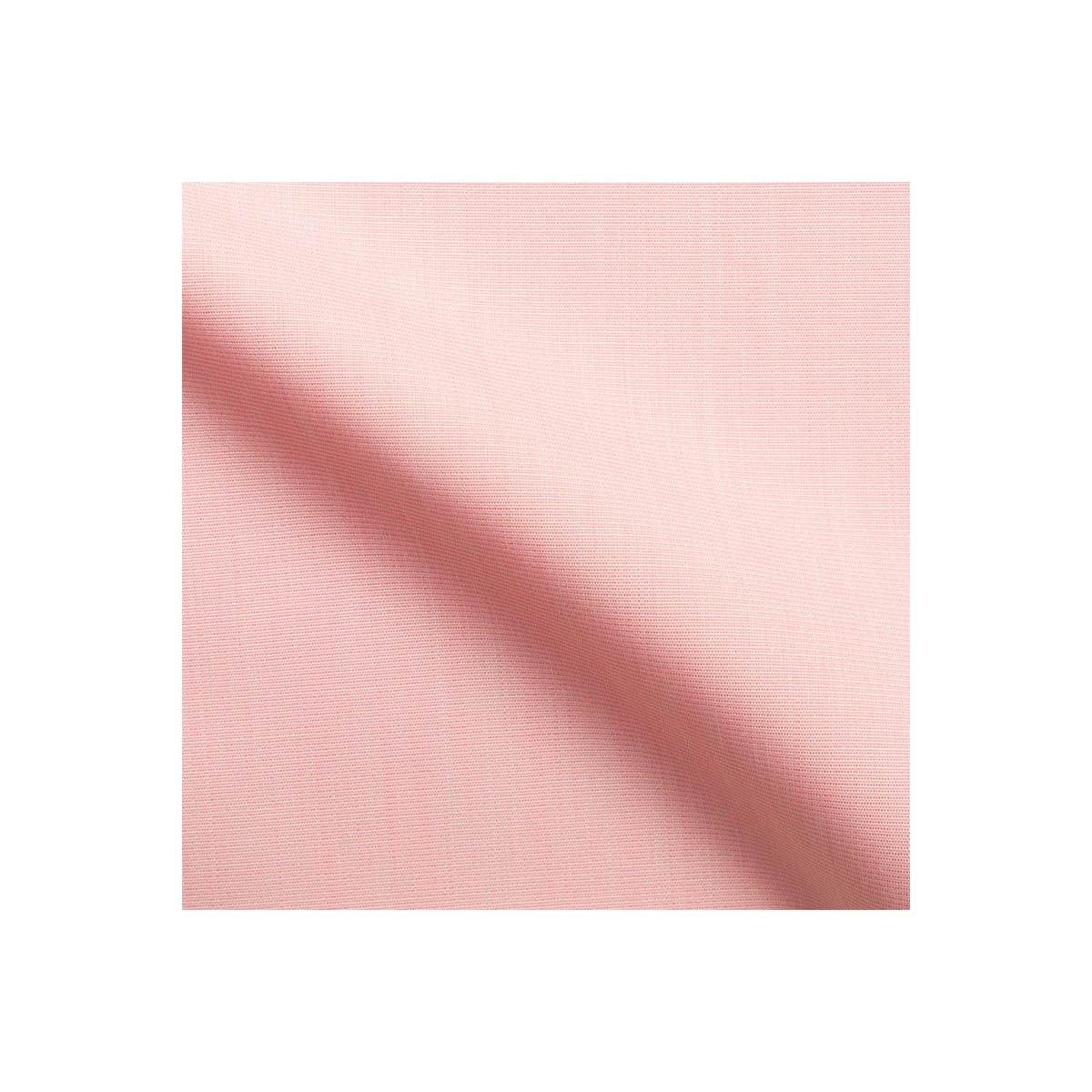 Popeline Fil-à-fil Uni Rose